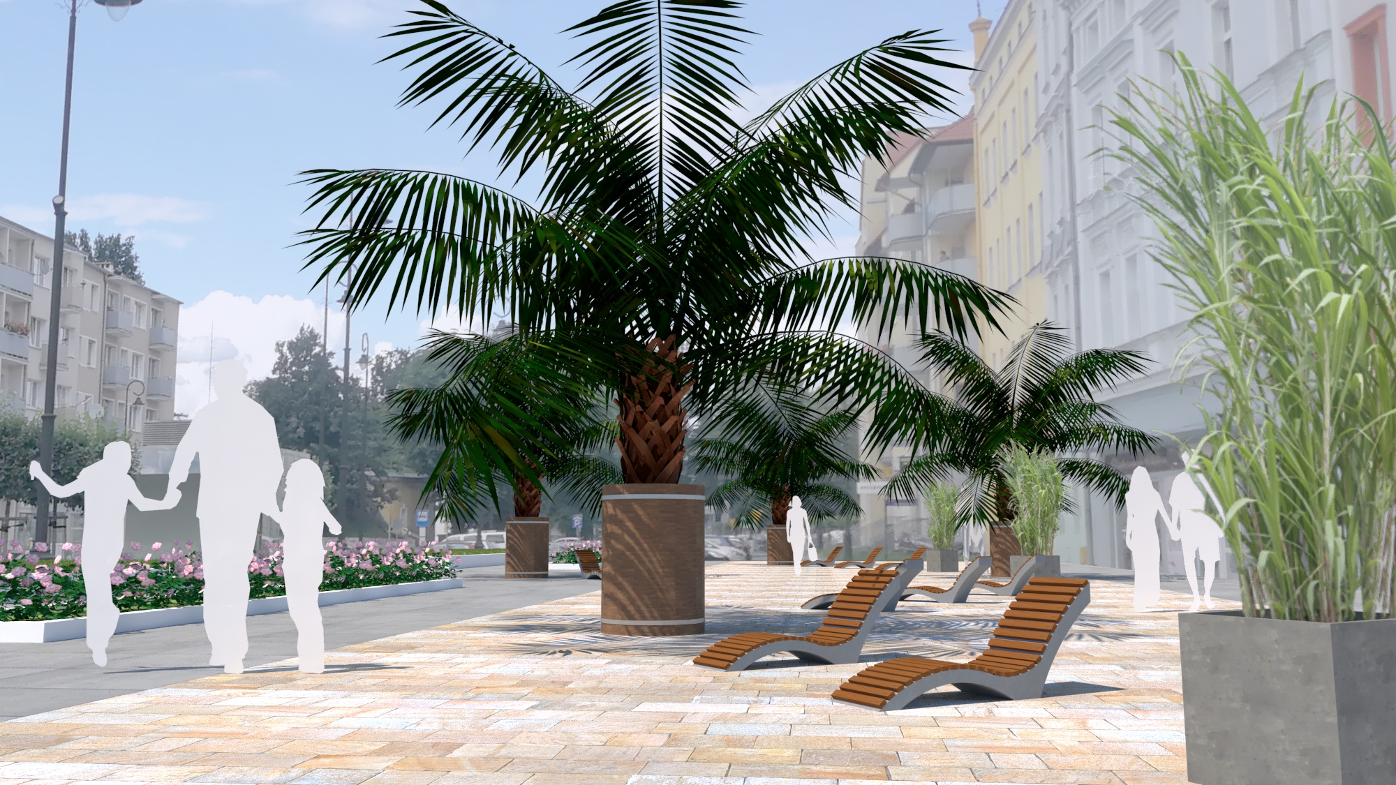 zdjęcie przedstawia palmy na ul. Piastowskiej w Nysie